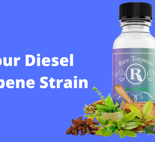 Sour Diesel Terpenes