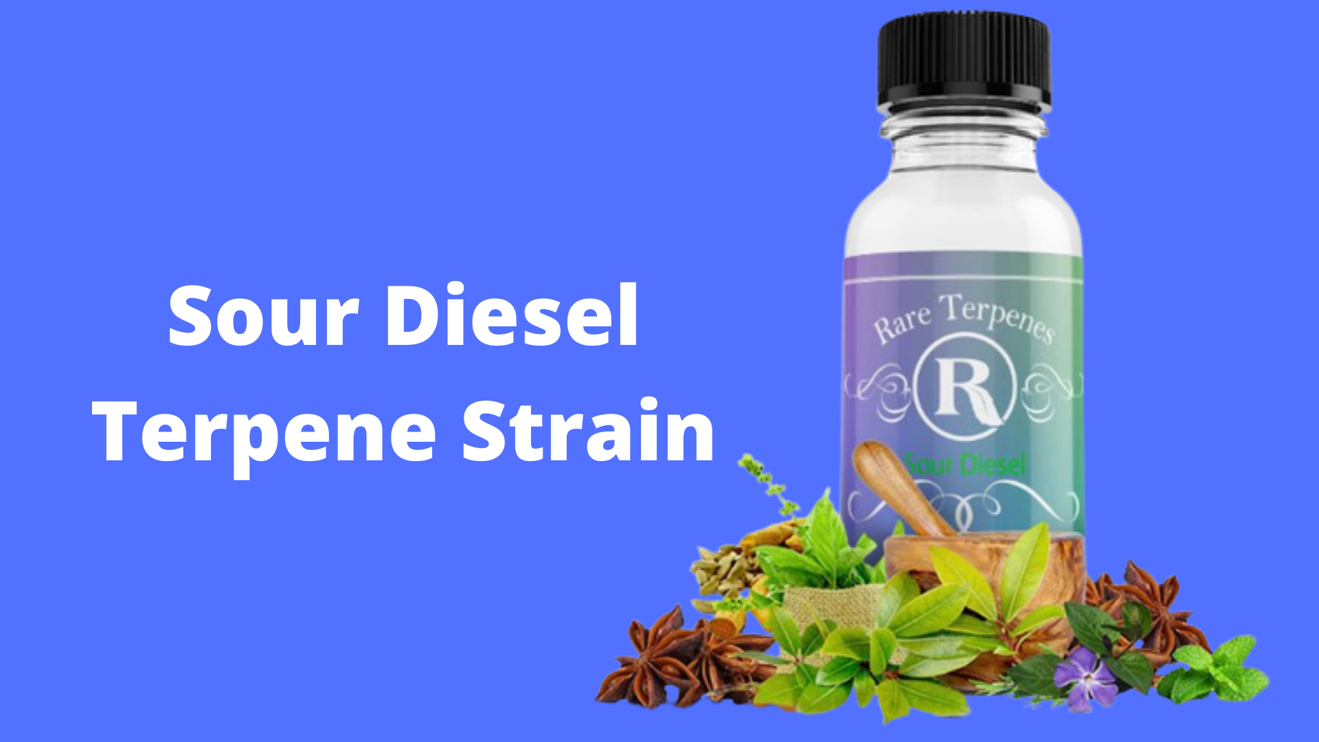 Sour Diesel Terpenes