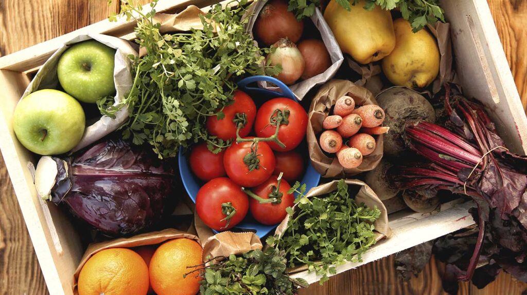 As part of our daily lives, vitamins are essential.