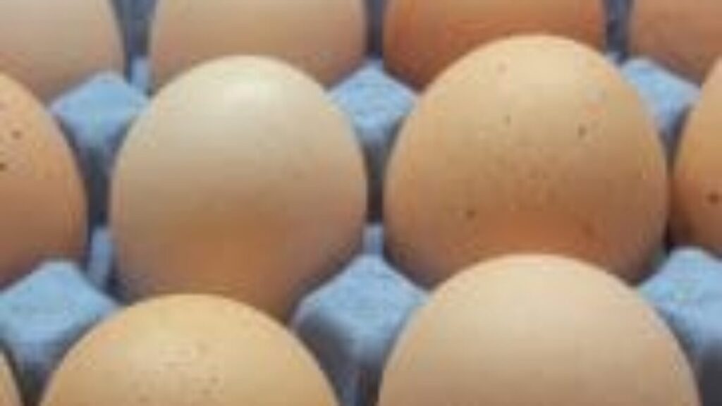 SuperFood: Eggs Have Many Benefits for Men 2 superfood